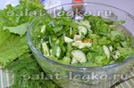 Cалат со шпинатом и свежими молодыми овощами